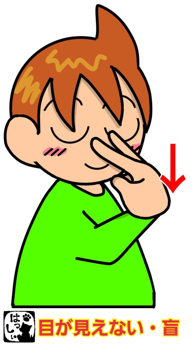 目が見えないの手話