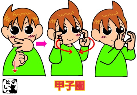 甲子園の手話