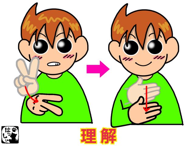 理解の手話